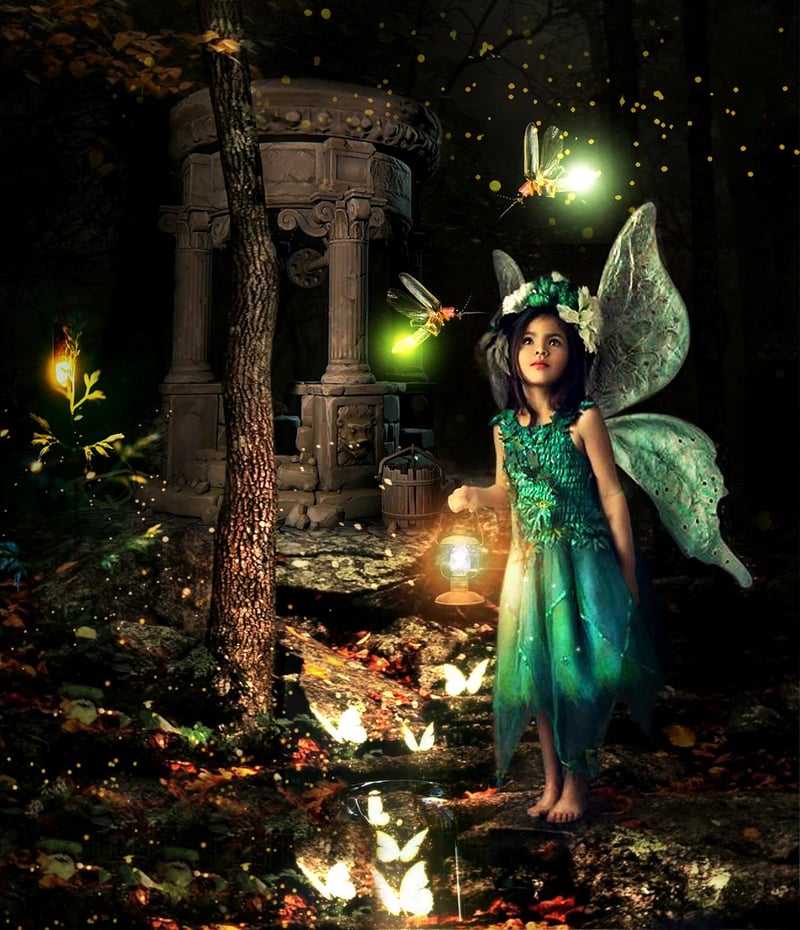 Fairy House Image